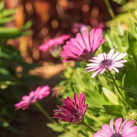 Casa Vina: A Spectacular Away From It All Holiday ラ・オロタバ エクステリア 写真