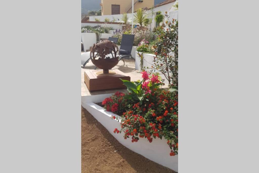 Casa Vina: A Spectacular Away From It All Holiday ラ・オロタバ エクステリア 写真