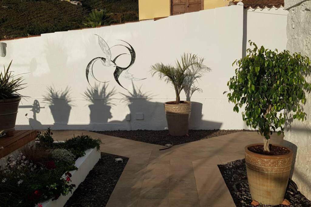 Casa Vina: A Spectacular Away From It All Holiday ラ・オロタバ エクステリア 写真