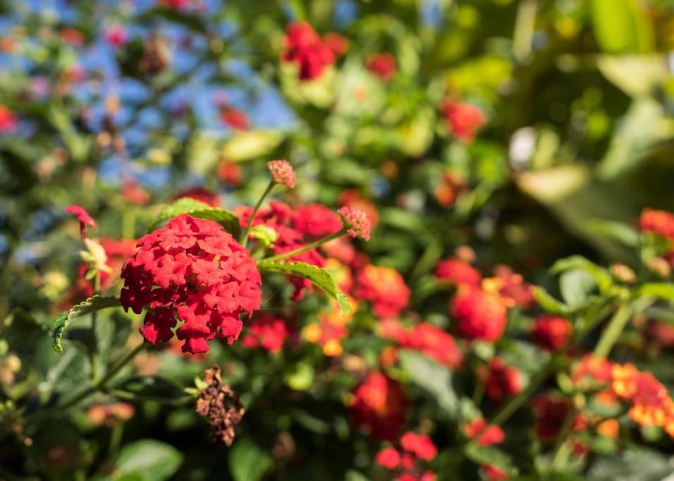 Casa Vina: A Spectacular Away From It All Holiday ラ・オロタバ エクステリア 写真