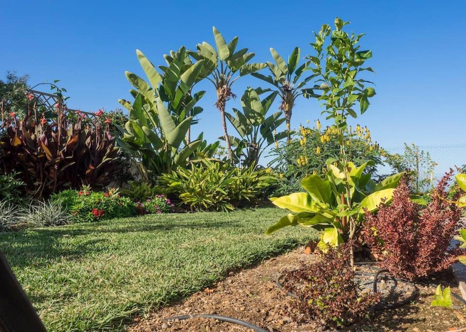 Casa Vina: A Spectacular Away From It All Holiday ラ・オロタバ エクステリア 写真