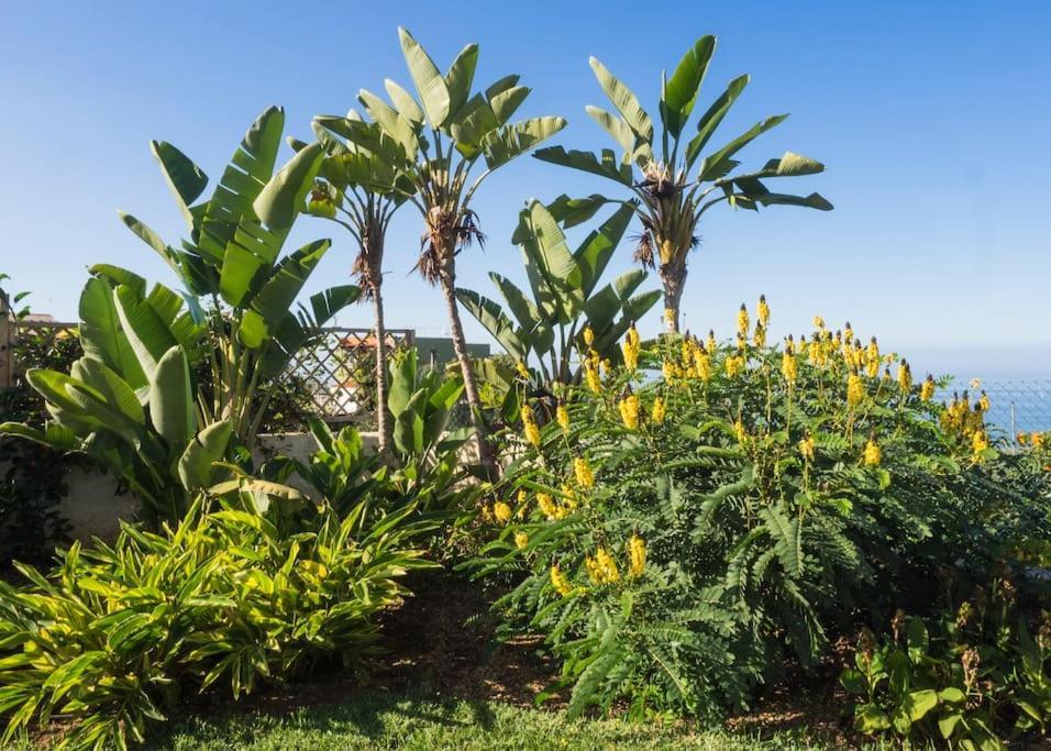 Casa Vina: A Spectacular Away From It All Holiday ラ・オロタバ エクステリア 写真